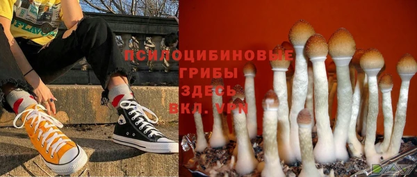 крисы Абинск