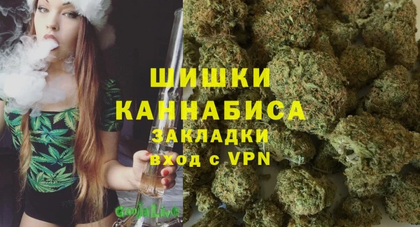 эйфоретик Новозыбков