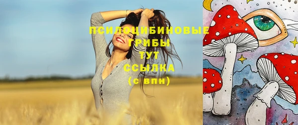 спиды Абдулино