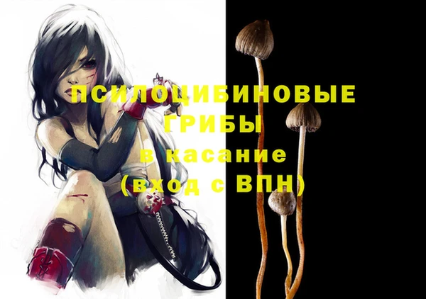 амф Новодвинск