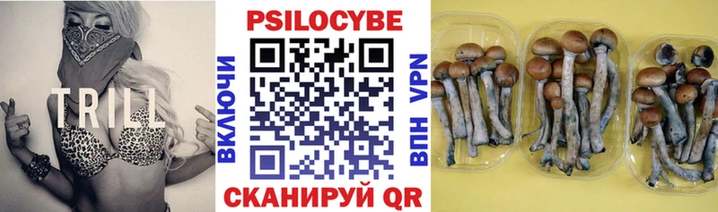 Галлюциногенные грибы прущие грибы  блэк спрут онион  Александровск-Сахалинский 